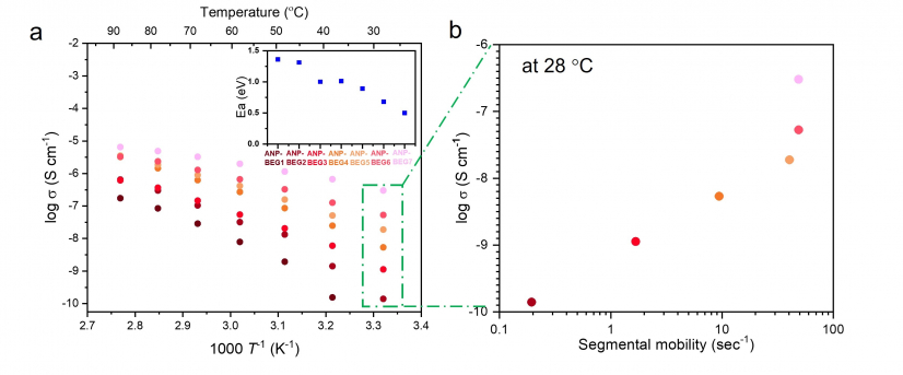 Ion transport properties. a) Temperature-dependent ionic conductivity for all ANP–BEGs and (inset) their activation energy. b) Ionic conductivity as a function of segmental mobility at 28 °C.